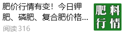 【掌郎播報】10月22日磷肥、鉀肥、復合肥價格行情